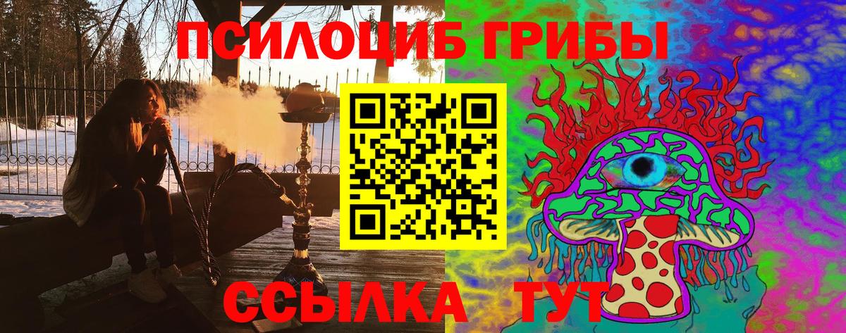 Галлюциногенные грибы мицелий Гусь-Хрустальный